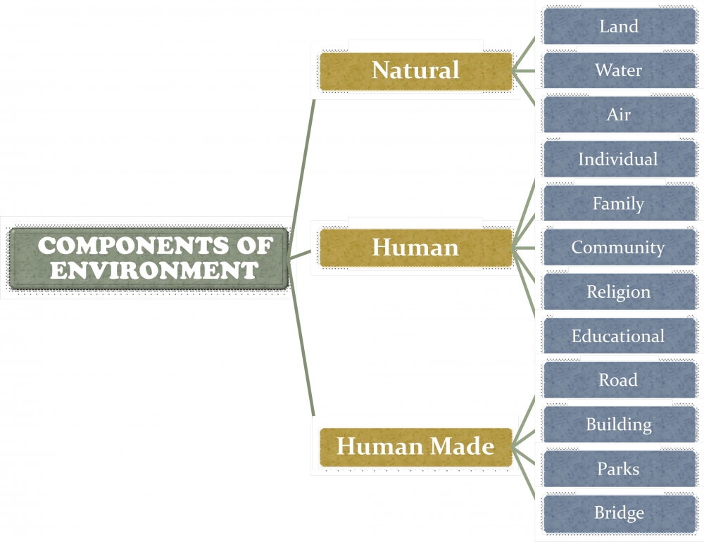 Class VII Chapter 1 Our Environment